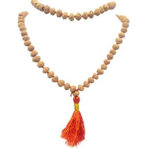 DivyaVidya Aath Mukhi Rudraksha Mala (108 Beads)