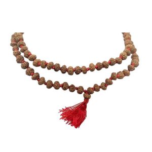 Saat Mukhi Rudraksha Mala (108 Beads)