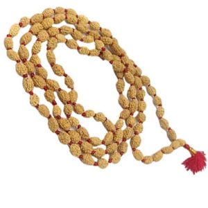 Teen Mukhi Rudraksha Mala (108 Beads)