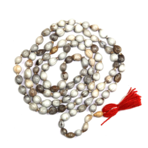 Vaijayanti Mala for Peace, Prosperity & Spiritual Growth