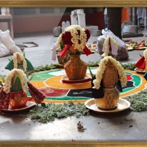 Navgrah Shanti Havan
