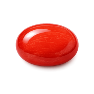 Red Coral Stone