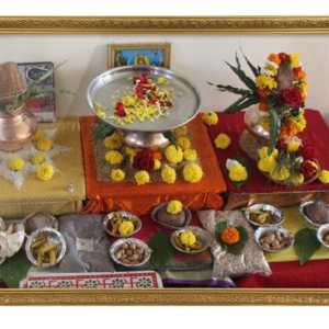 Kalsarp Shanti Puja